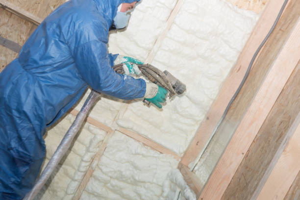 Best Insulation for New Construction  in Canton, OH